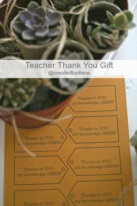 Teacher thank you gift with printable @createdbydiane