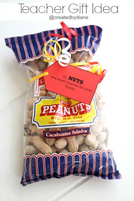 Teacher Gift Idea – It’s NUTS how much I learned this year!