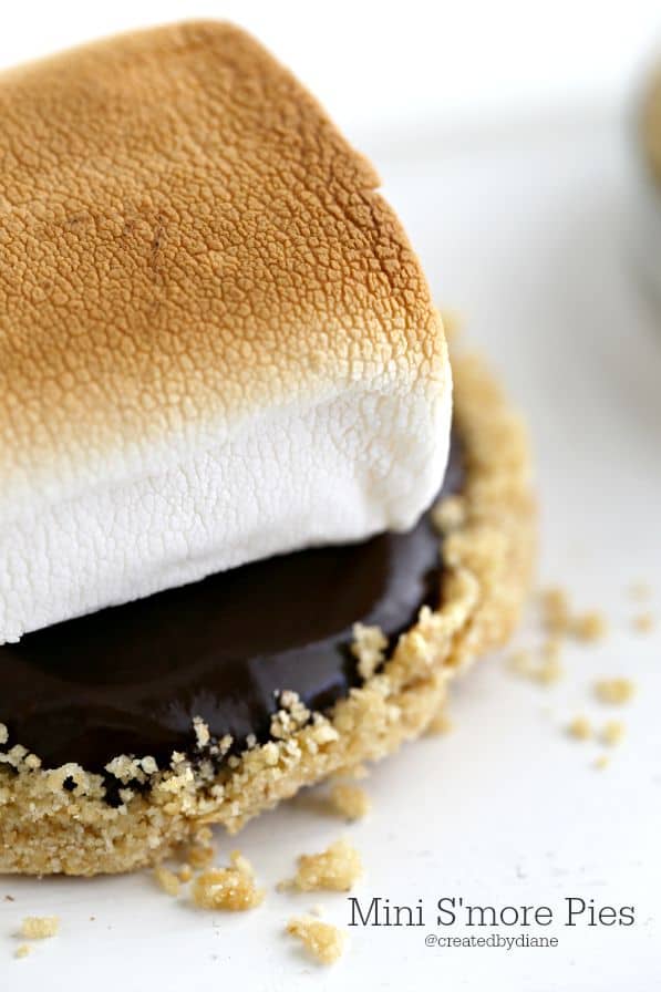 mini s'more pies