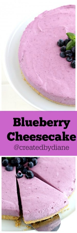 Easy Blueberry No Bake Cheesecake | Created by Diane