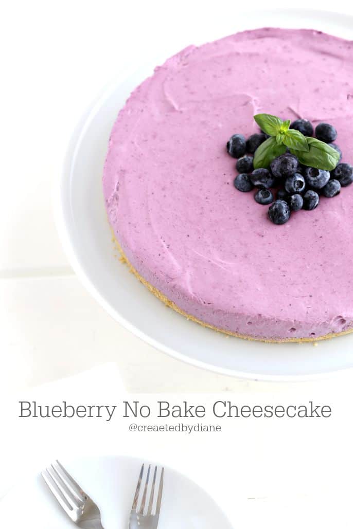Easy Blueberry No Bake Cheesecake