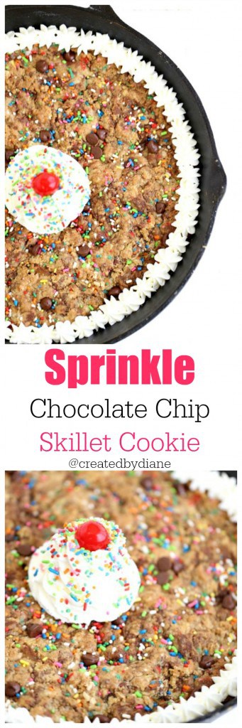 fun sprinkle chocolate chip skillet cookie @createdbydiane