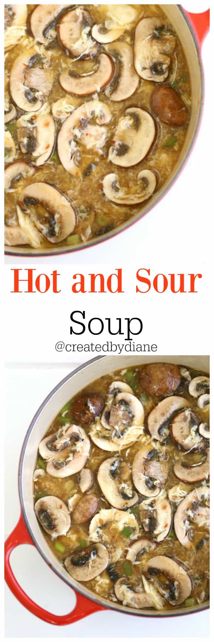 hot and sour soup recipe @createdbydiane