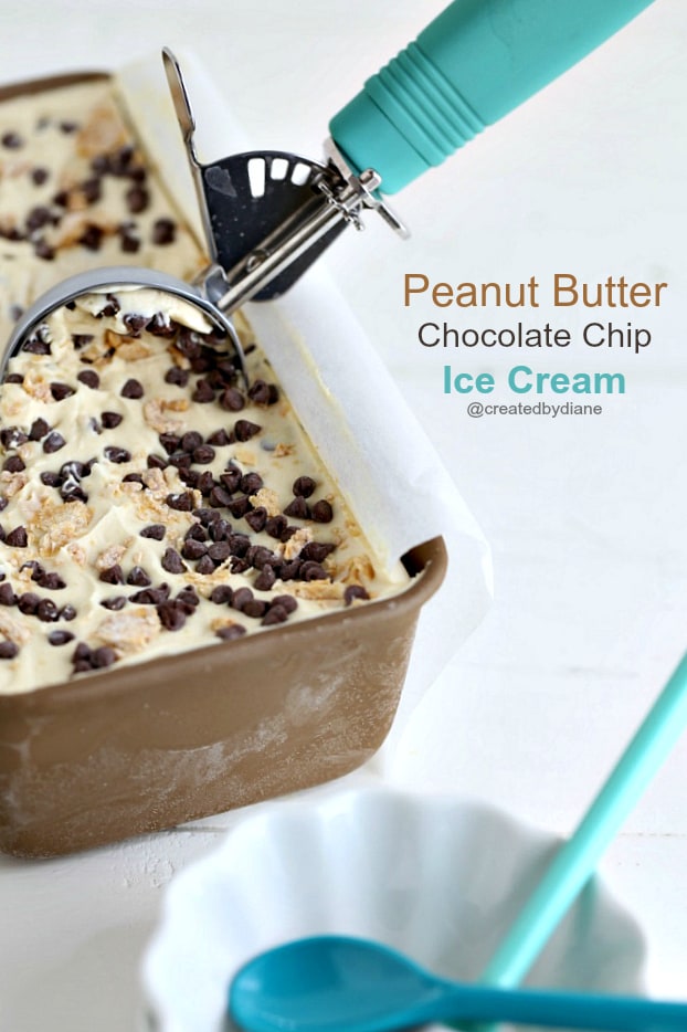 Peanut Butter Chocolate Chip Ice Cream