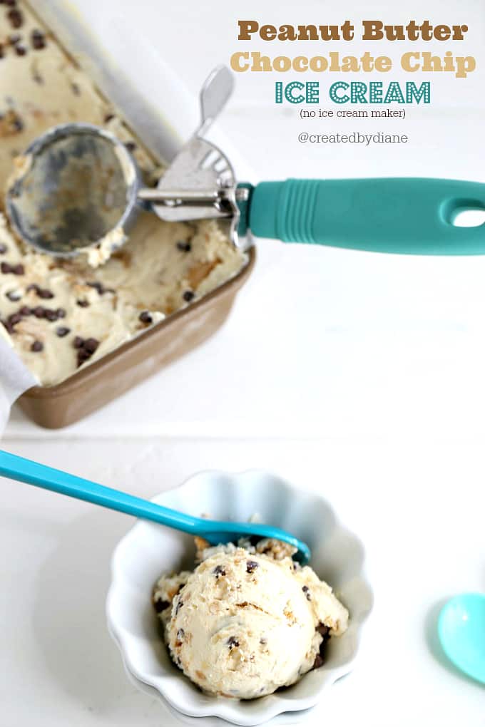 peanut butter chocolate chip ice cream