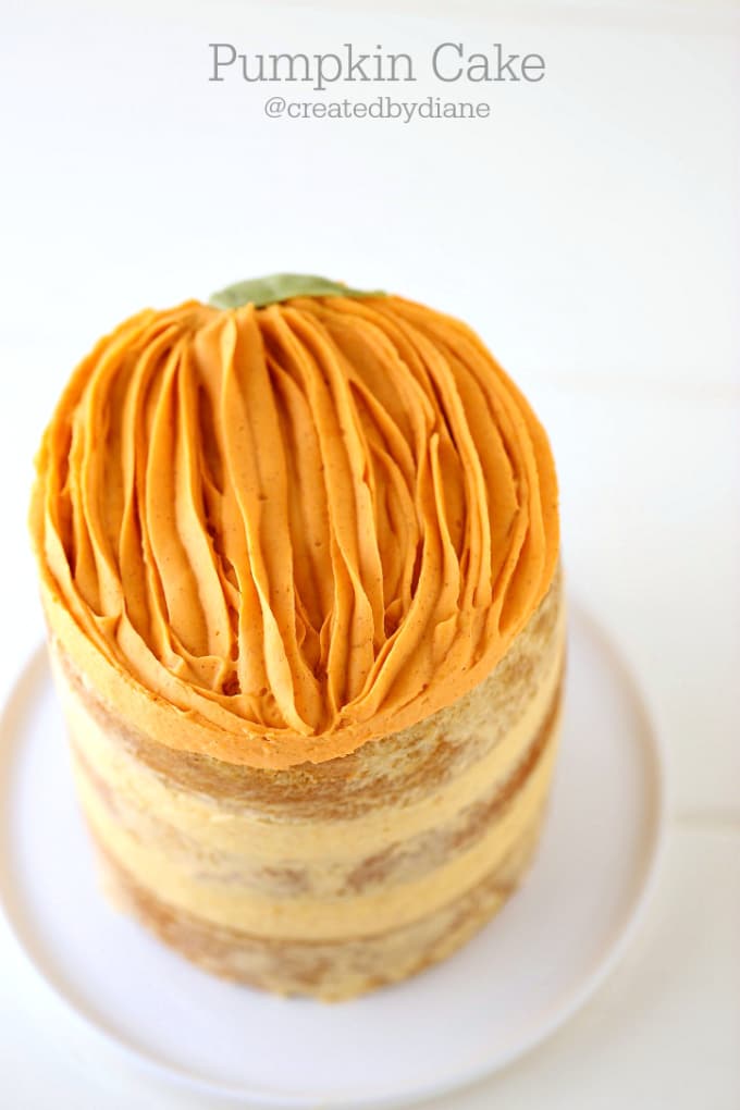 pumpkin-decorated-cake-from-www-createdby-diane-com