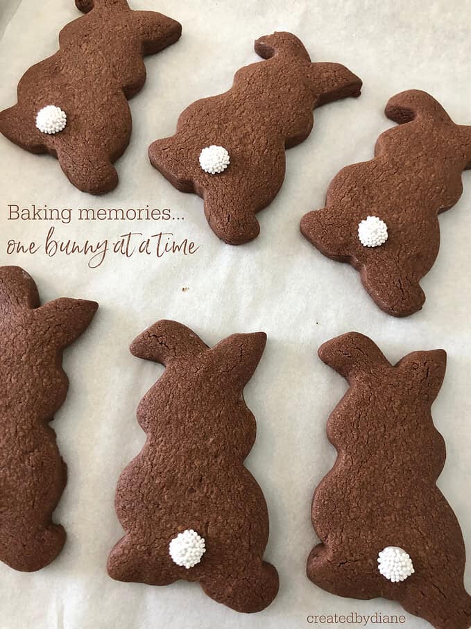 chocolate cut out bunny cookies