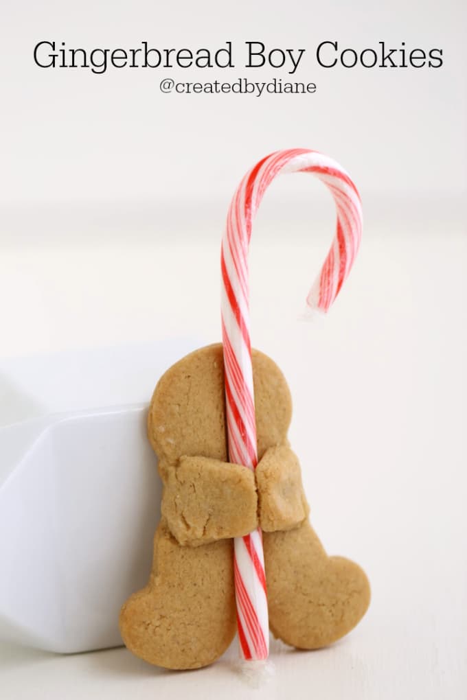 Gingerbread Boy Cookie Recipe