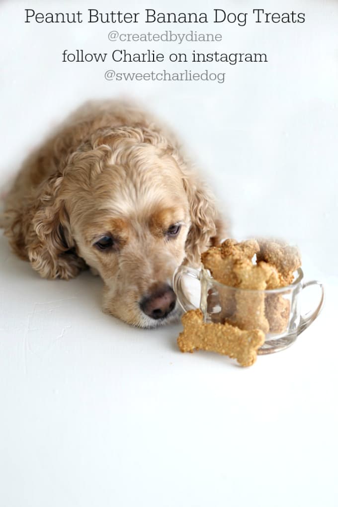 Peanut Butter Banana Dog Treats