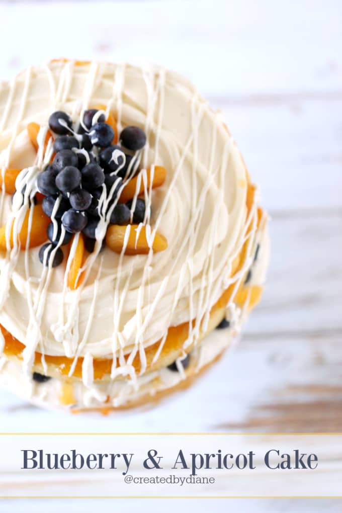 Blueberry Apricot Cake