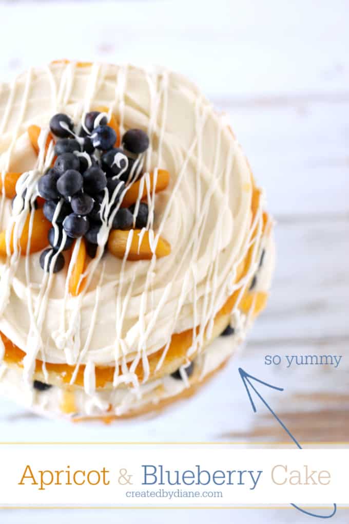 blueberry apricot cake