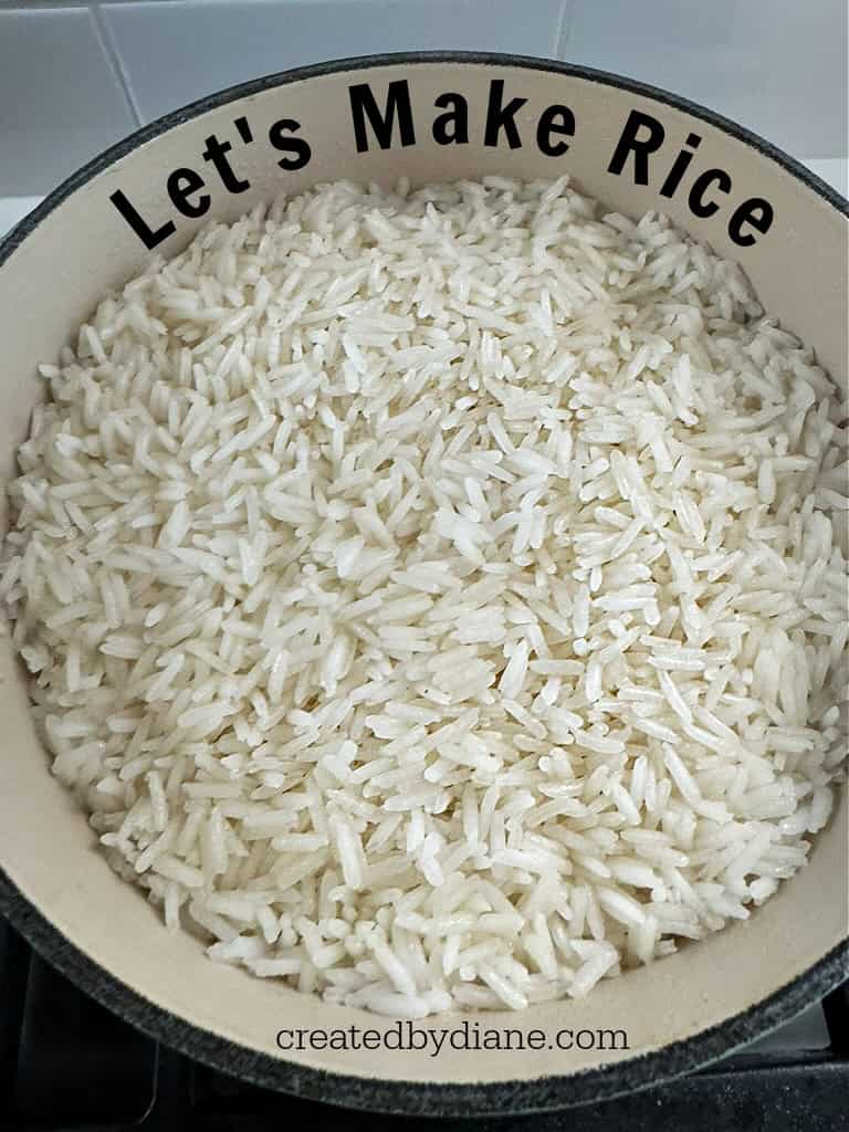 Making Rice Eat how to cook rice | Created by Diane