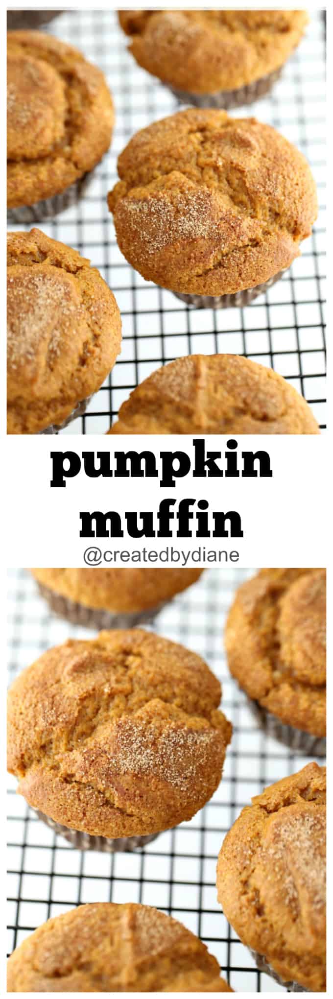 pumpkin muffin recipe from @createdbydiane with a cinnamon sugar topping