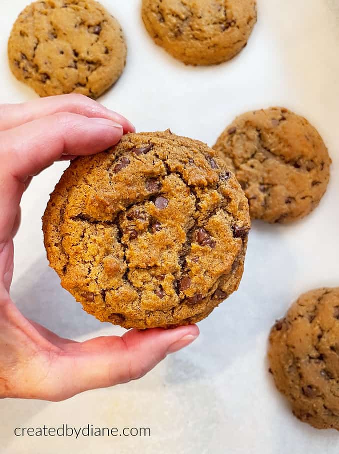 pumpkin chocolate chip cookies createdbydiane.com