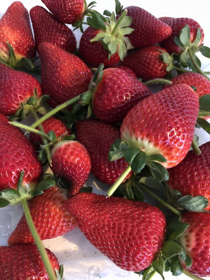 fresh picked California strawberriesfresh picked California strawberries