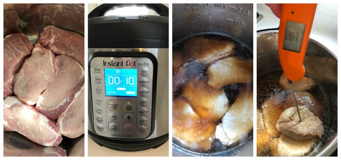 pork teriyaki in pressure cooker