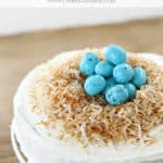 coconut cake with Robin egg nest www.createdbydiane.com