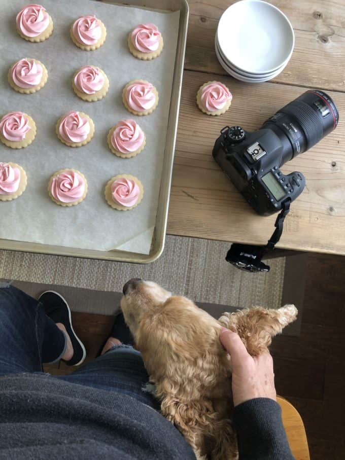 createdbydiane.com rose cookies with @sweetcharliedog rose cookies for Diane Schmidt Food Blog