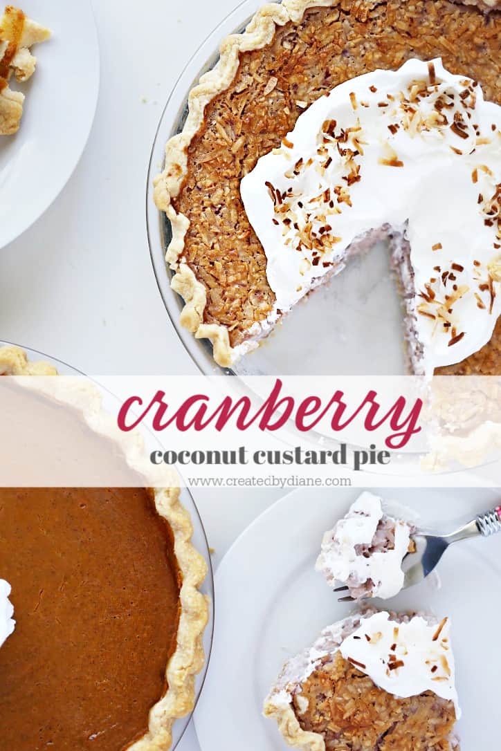 Cranberry Coconut Custard Pie