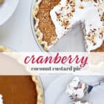 cranberry coconut custard pie from www.createdbydiane.com