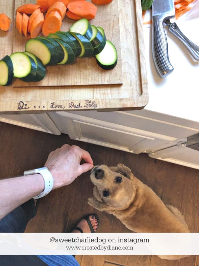 Diane Schmidt food blogger, with dog @sweetcharliedog instagram www.createdbydian