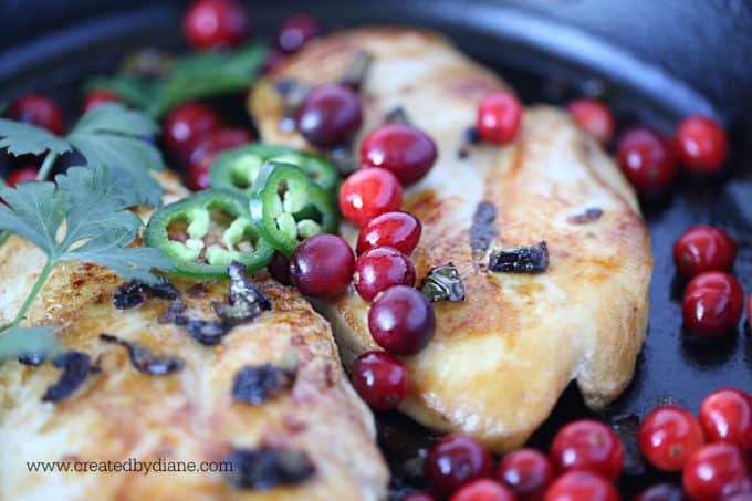 cranberry jalapeno chicken from www.createdbydiane.com (1)