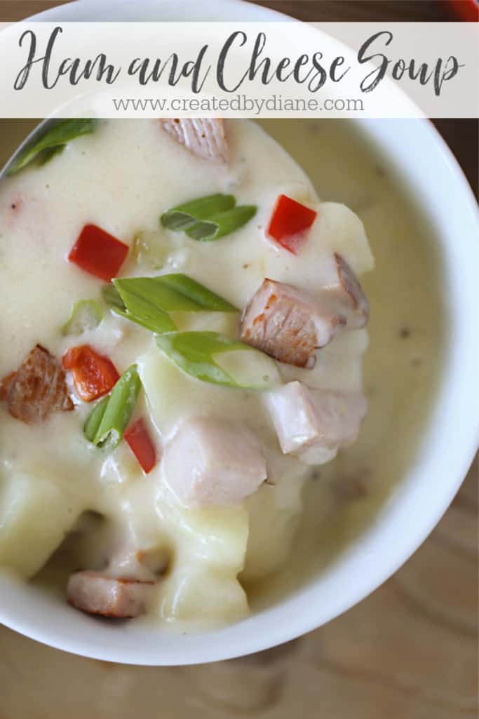 Ham and Cheese Soup