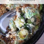 au gratin brussels sprouts recipe createdbydiane.com