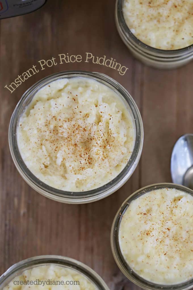 Instant Pot Rice Pudding createdbydiane.com