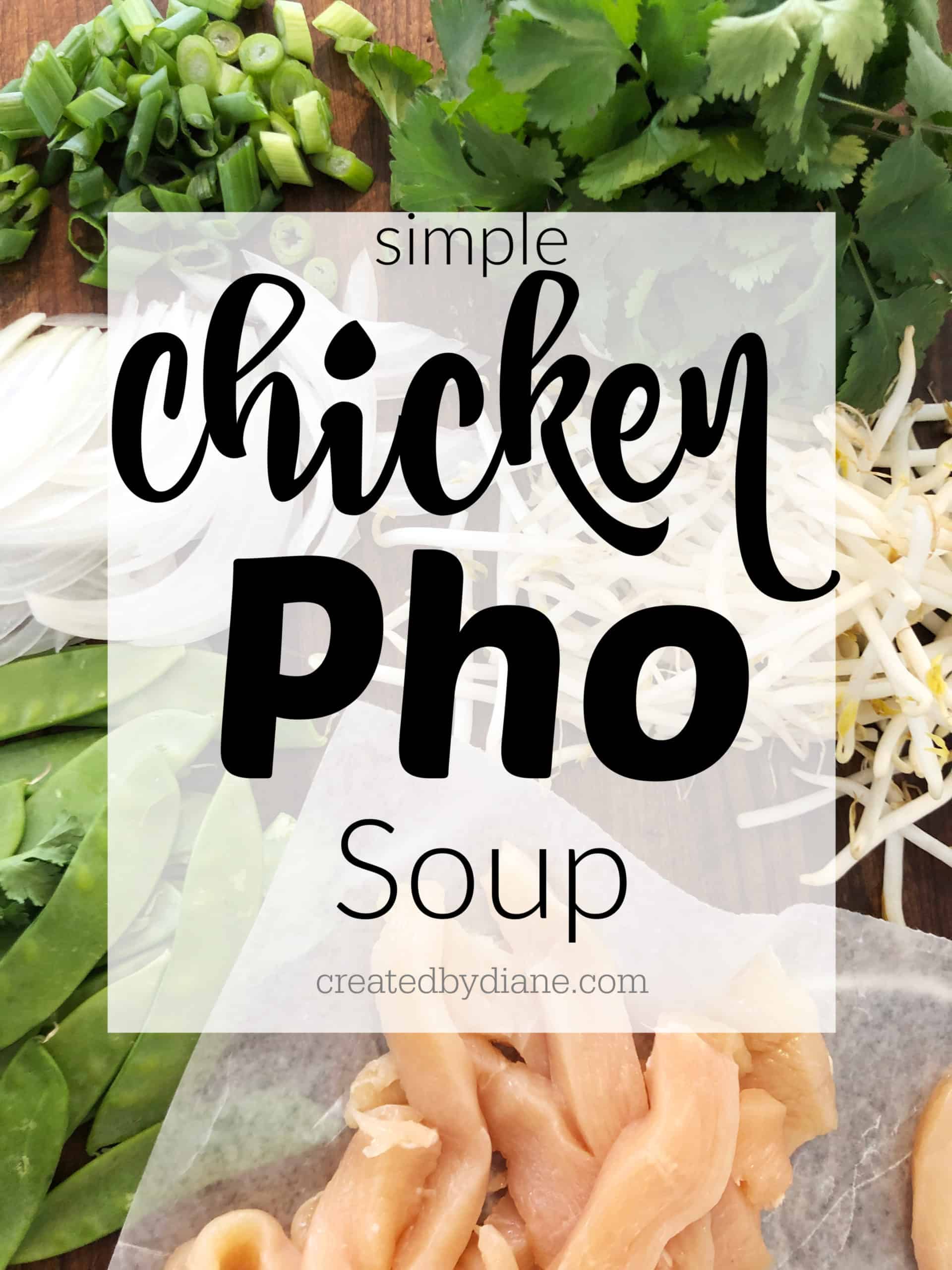 Chicken Pho Soup Recipe | Created by Diane