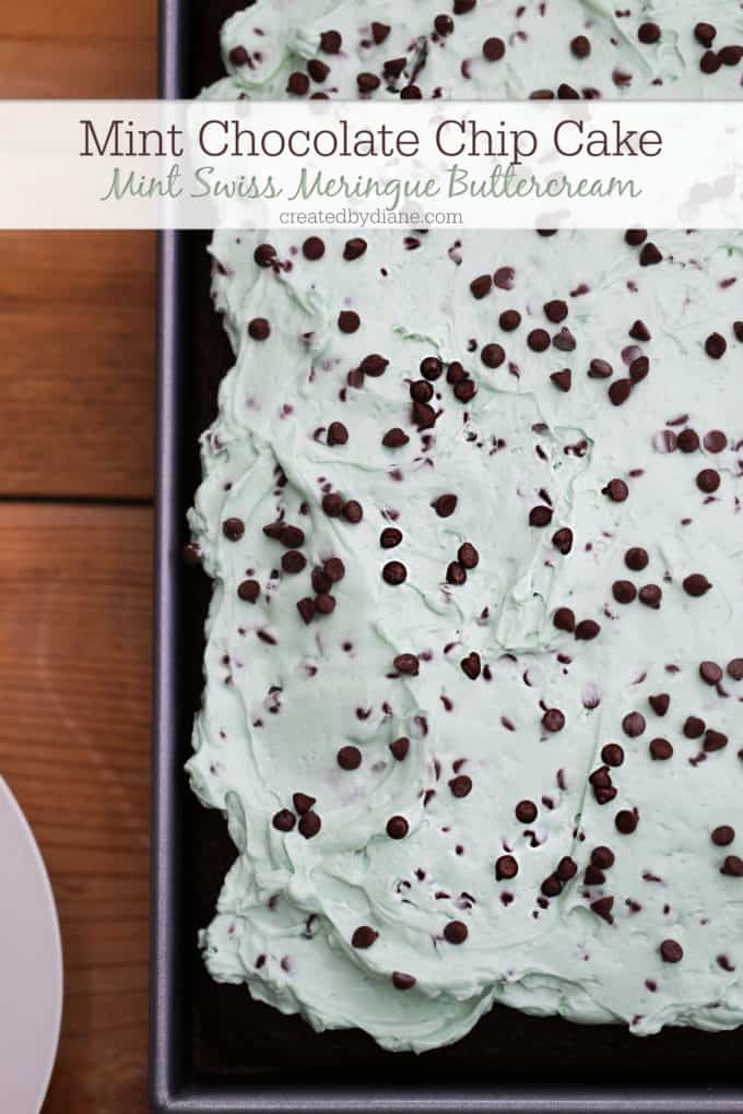 chocolate chip mint cake with mint swiss meringue buttercream frosting