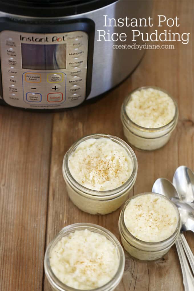 instant pot rice pudding recipe createdbydiane.com