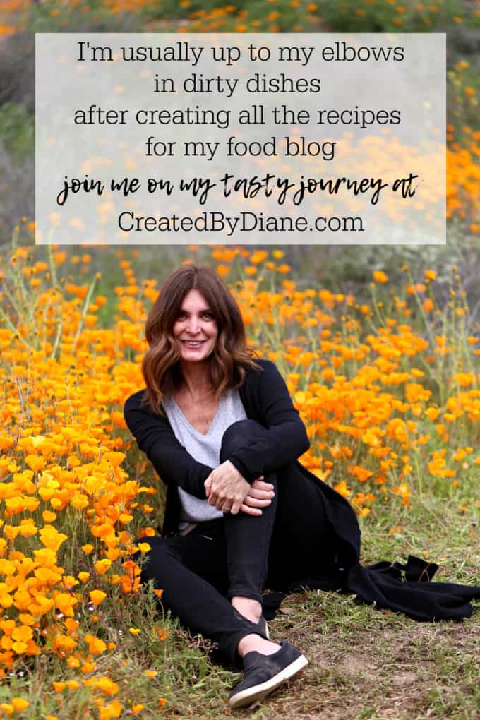 Diane Schmidt food blogger, recipe developer, dishwasher, writer, photographer, online influencer, online publisher, entrepreneur createdbydiane.com