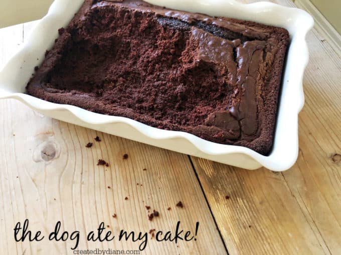 THE DOG ATE MY CAKE- really createdbydiane.com