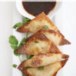 air fryer pork wontons createdbydiane.com