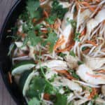 Chicken and Bean Sprouts, a simple 15 minute low carb meal createdbydiane.com
