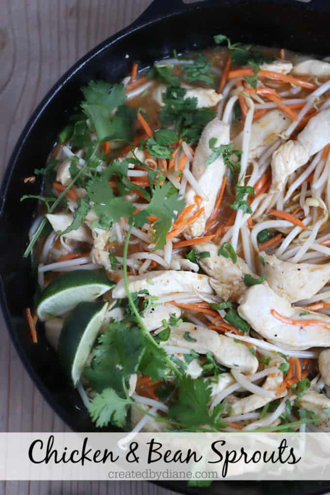 Chicken and Bean Sprouts, a simple 15 minute low carb meal createdbydiane.com