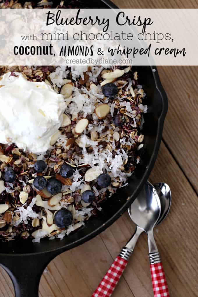 blueberry crisp with chocolate chips, coconut, almonds, whipped cream createdbydiane.com