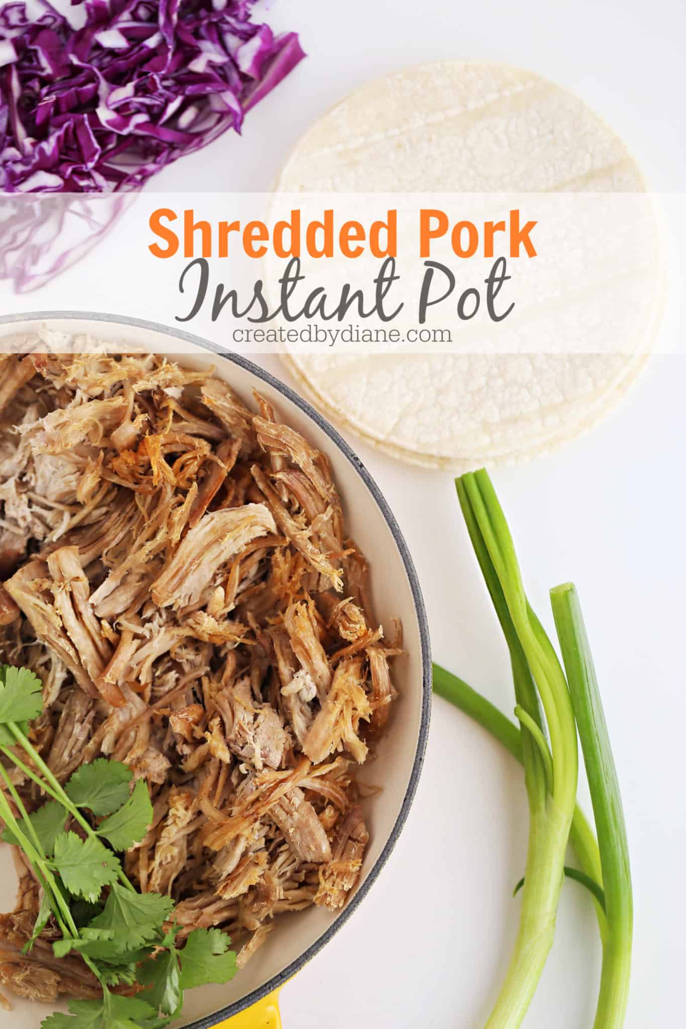 Instant Pot Shredded Pork Created by Diane