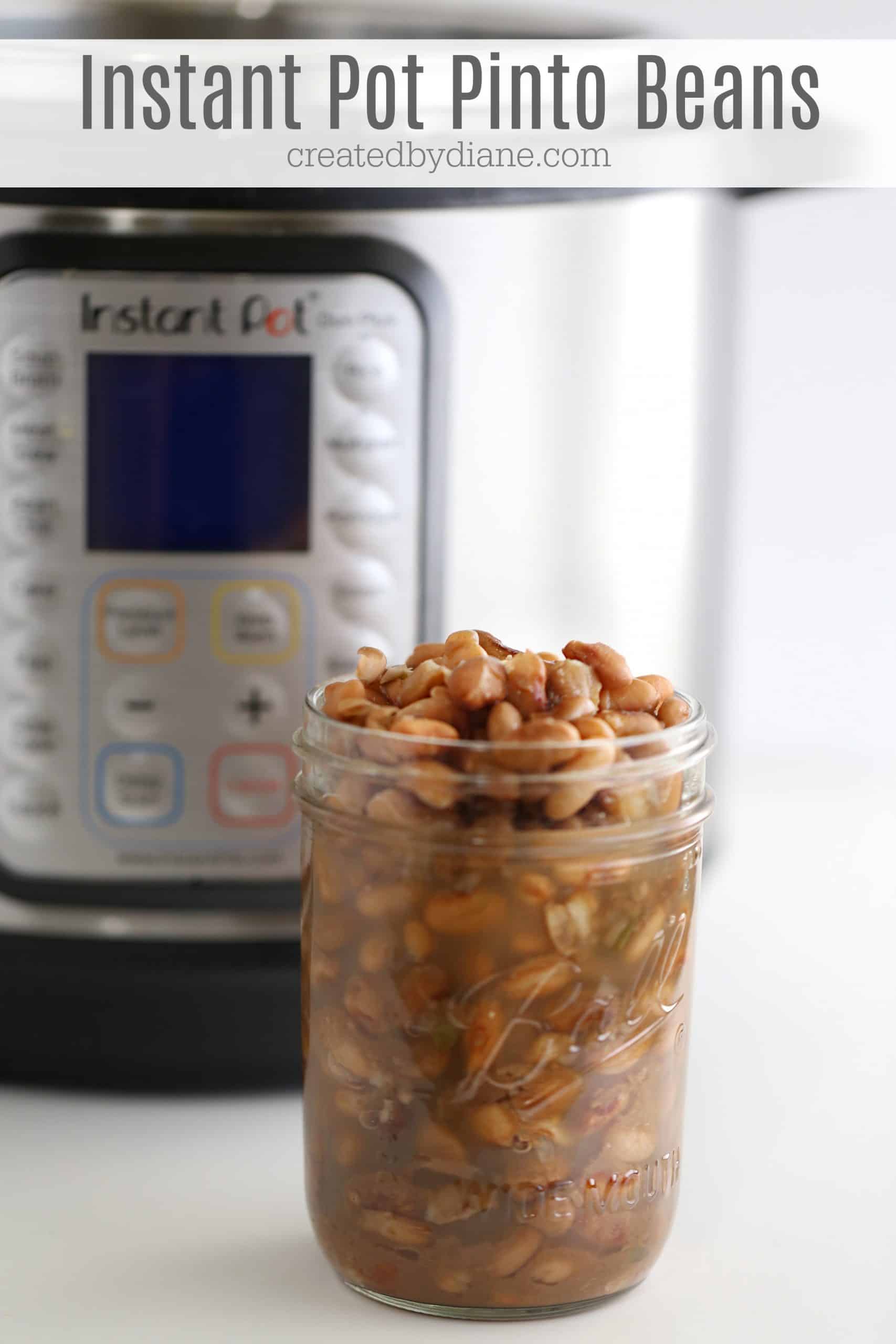 Instant Pot Pinto Beans