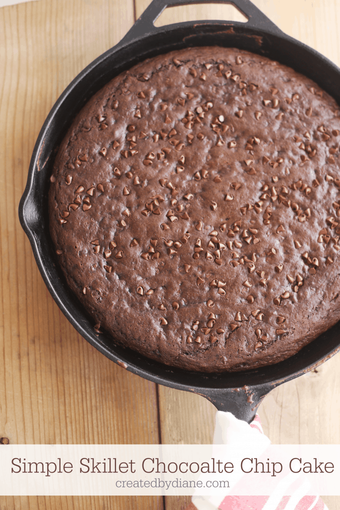 Simple Skillet Chocolate Chocolate Chip Cake createdbydiane.com