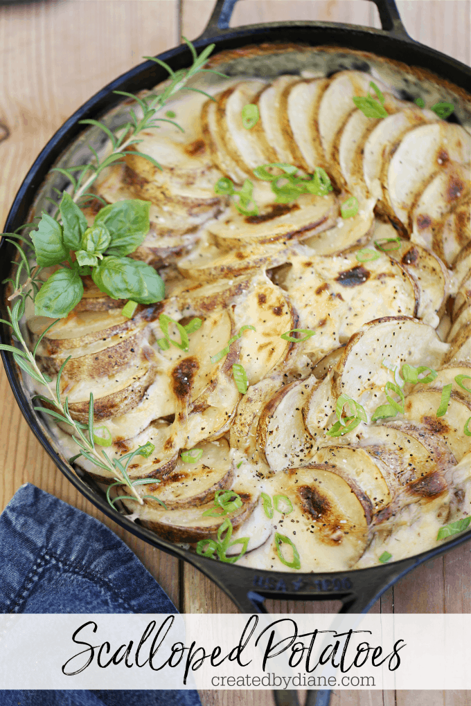 scalloped potatoes createdbydiane.com