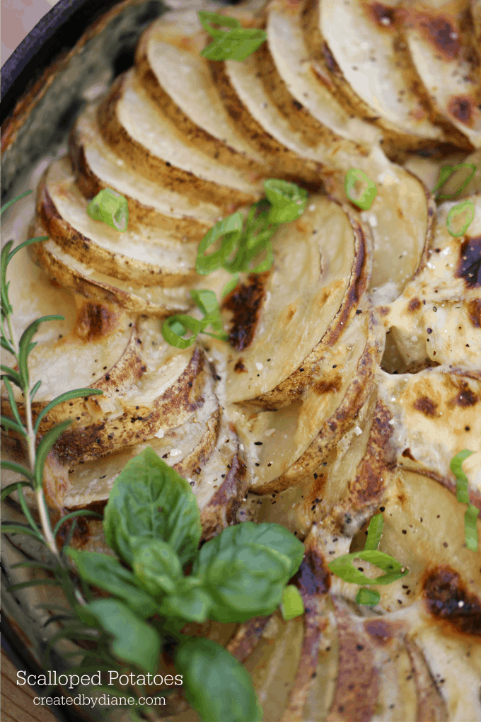 Scalloped Potatoes recipe from createdbydiane.com