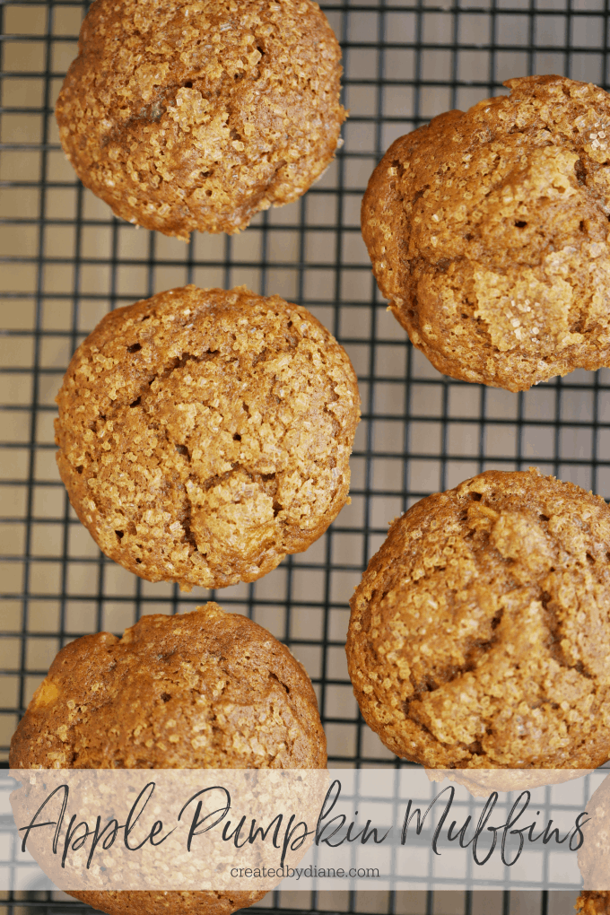 apple and pumpkin muffins createdbydiane.com