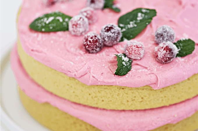 CRANBERRY CAKE with CRANBERRY FROSTING createdbydiane.com