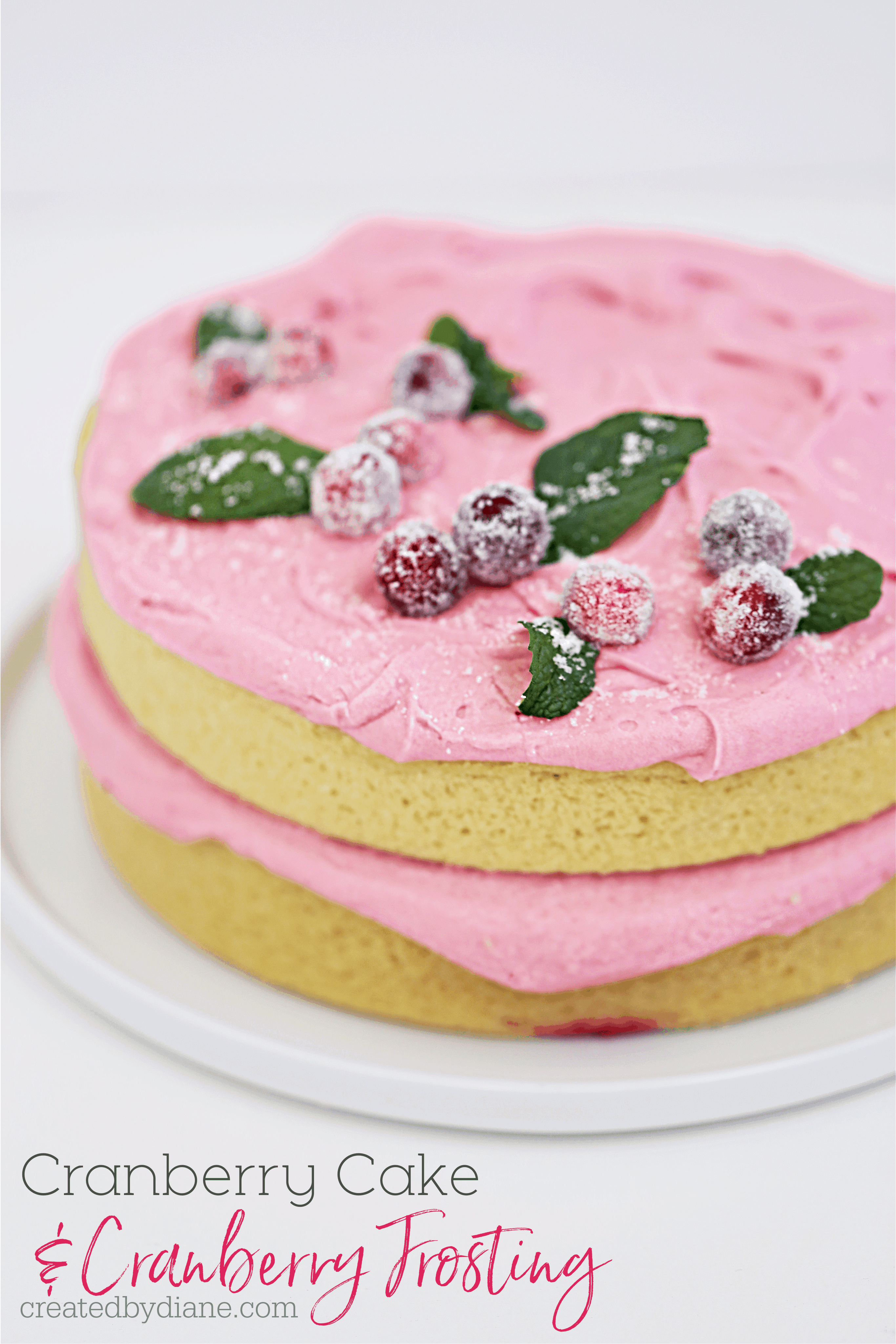 Cranberry Cake with Cranberry Frosting