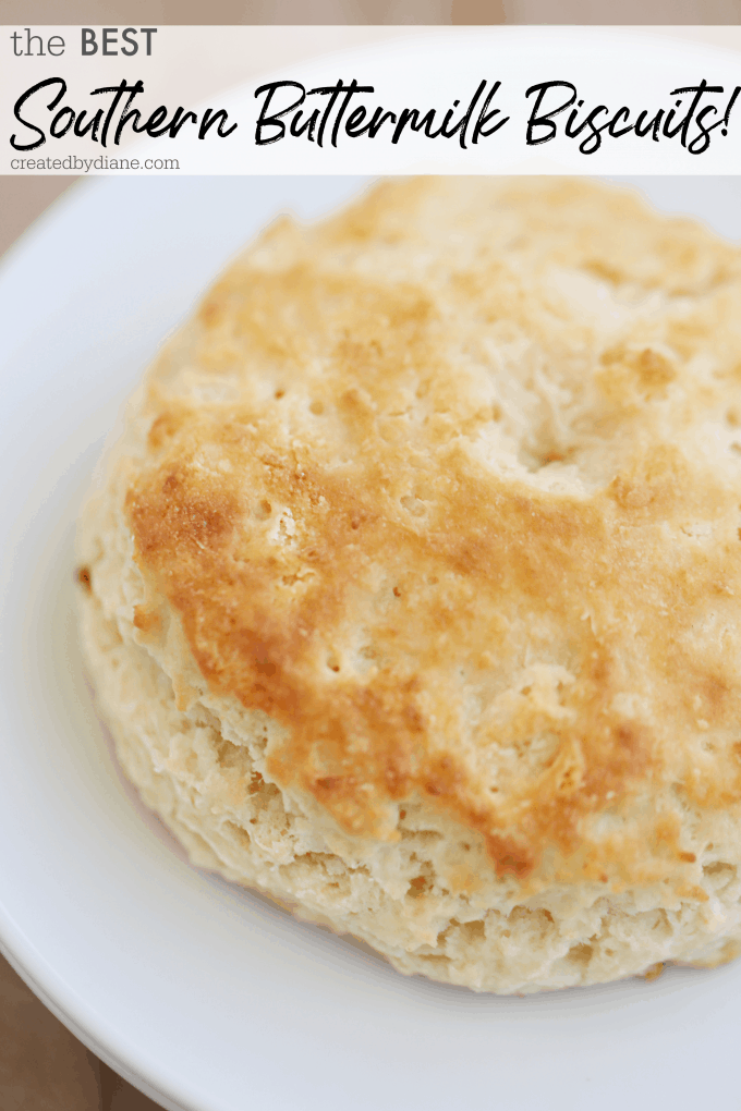 the best southern buttermilk biscuits easy recipe createdbydiane.com