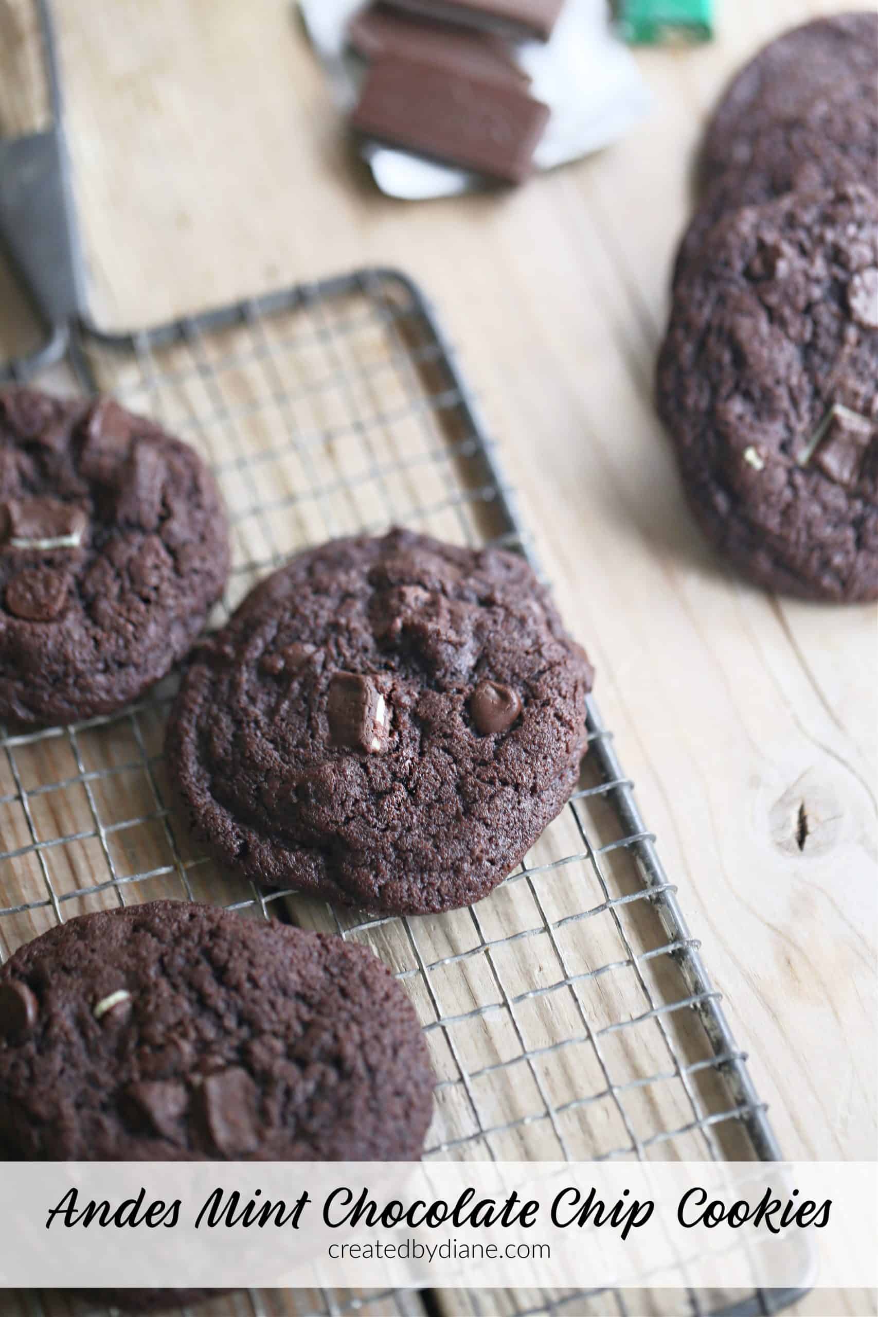 Chocolate Chocolate Chip Mint Cookies