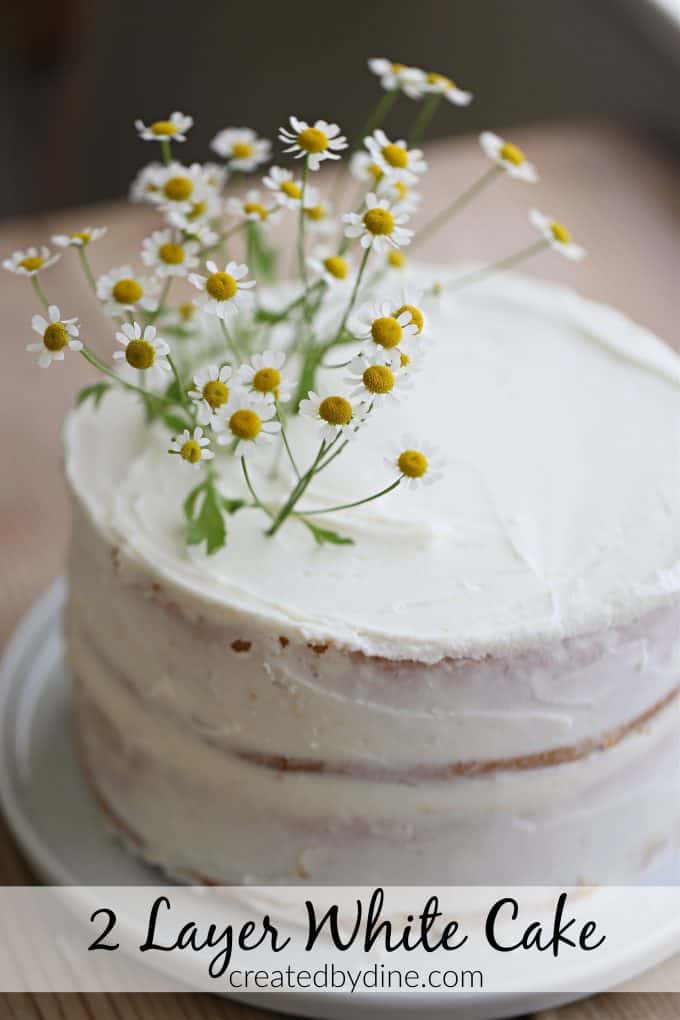 2 layer white cake,easy and delicous super great shortcut recipe, decorated with camomile flowers, naked cake, sour cream frosting slathered on edges and topcreatedbydiane.com