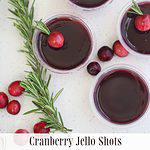 cranberry jello shots createdbydiane.com